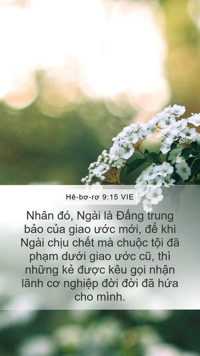 Hê-bơ-rơ 9:15 VIE Bible Verse Image