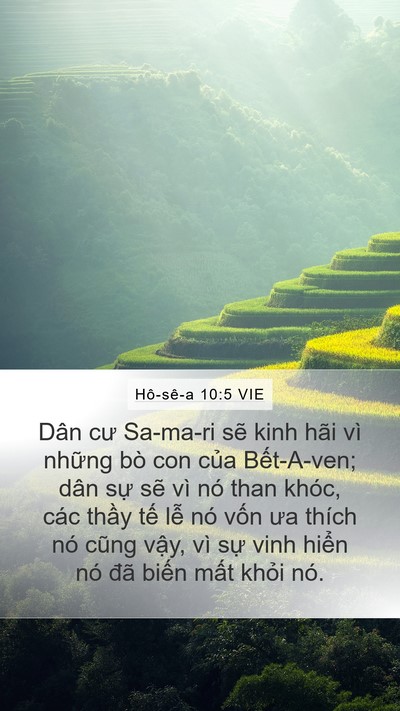 Hô-sê-a 10:5 VIE Bible Verse Image