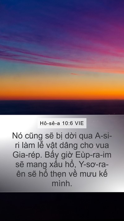 Hô-sê-a 10:6 VIE Bible Verse Image