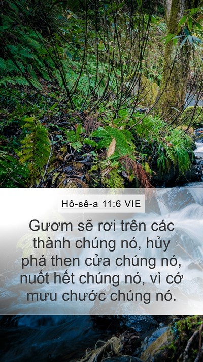 Hô-sê-a 11:6 VIE Bible Verse Image