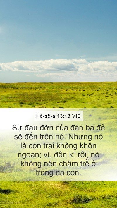 Hô-sê-a 13:13 VIE Bible Verse Image