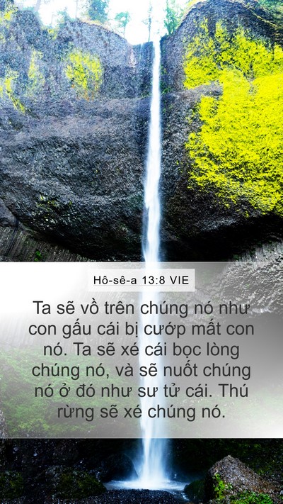 Hô-sê-a 13:8 VIE Bible Verse Image