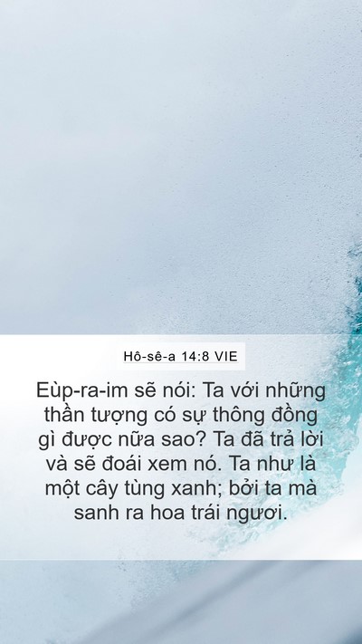 Hô-sê-a 14:8 VIE Bible Verse Image