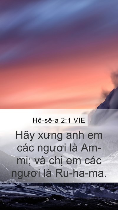 Hô-sê-a 2:1 VIE Mobile Phone Wallpaper - Hãy xưng anh em các ngươi là Am-mi; và - Mobile Bible Verse Wallpaper