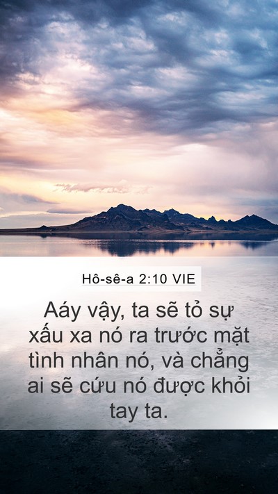 Hô-sê-a 2:10 VIE Bible Verse Image