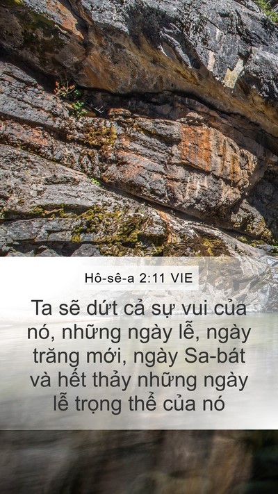 Hô-sê-a 2:11 VIE Bible Verse Image