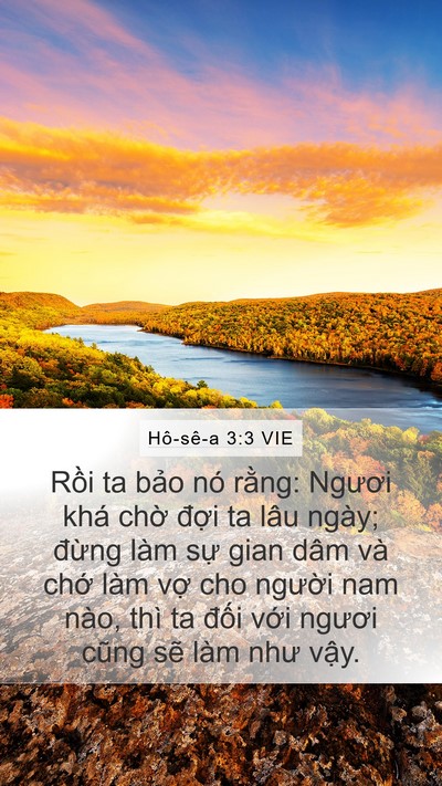 Hô-sê-a 3:3 VIE Bible Verse Image
