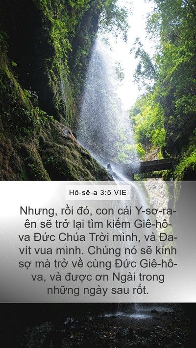 Hô-sê-a 3:5 VIE Bible Verse Image