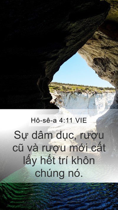 Hô-sê-a 4:11 VIE Bible Verse Image