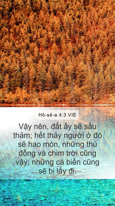 Hô-sê-a 4:3 VIE Bible Verse Image
