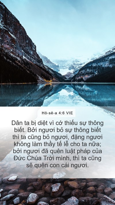 Hô-sê-a 4:6 VIE Bible Verse Image