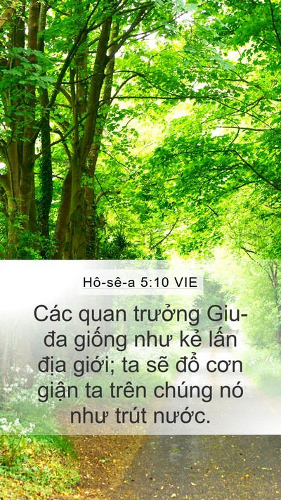 Hô-sê-a 5:10 VIE Bible Verse Image