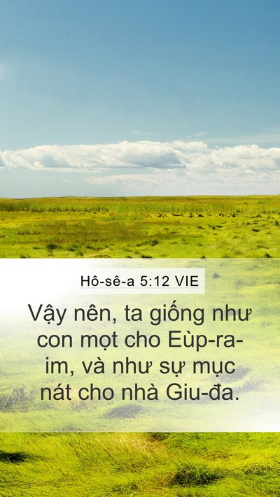 Hô-sê-a 5:12 VIE Mobile Phone Wallpaper - Vậy nên, ta giống như con mọt cho - Mobile Bible Verse Wallpaper