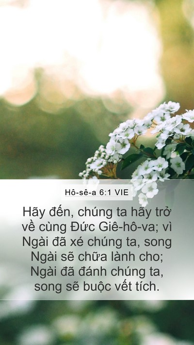 Hô-sê-a 6:1 VIE Bible Verse Image