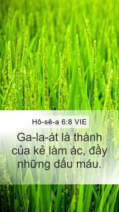 Hô-sê-a 6:8 VIE Bible Verse Image