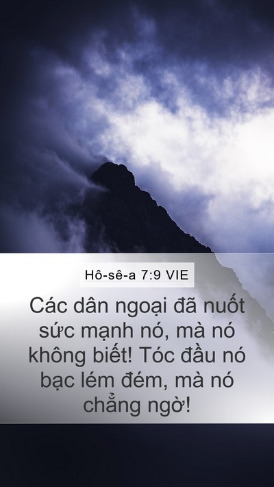 Hô-sê-a 7:9 VIE Bible Verse Image