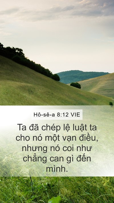 Hô-sê-a 8:12 VIE Bible Verse Image