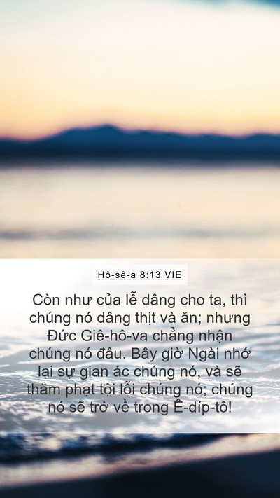 Hô-sê-a 8:13 VIE Bible Verse Image