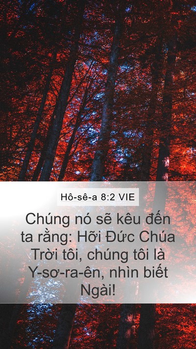 Hô-sê-a 8:2 VIE Bible Verse Image