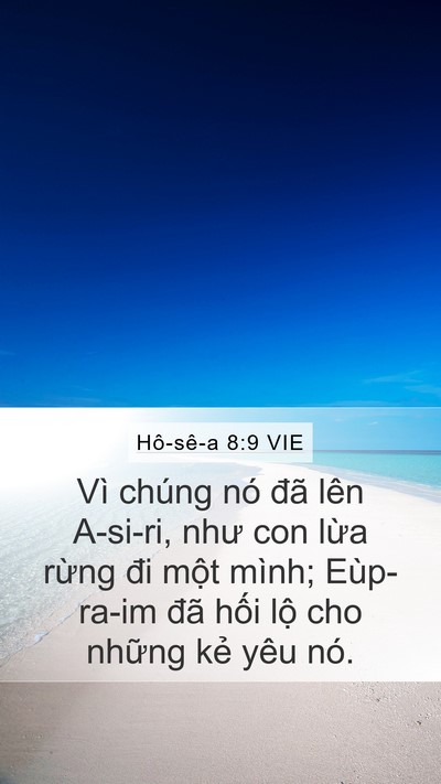 Hô-sê-a 8:9 VIE Bible Verse Image