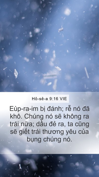Hô-sê-a 9:16 VIE Bible Verse Image