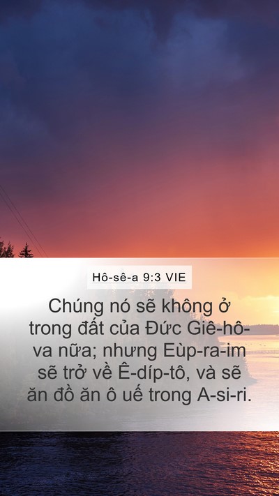 Hô-sê-a 9:3 VIE Bible Verse Image