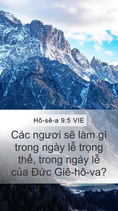 Hô-sê-a 9:5 VIE Mobile Phone Wallpaper - Các ngươi sẽ làm gì trong ngày lễ - Mobile Bible Verse Wallpaper