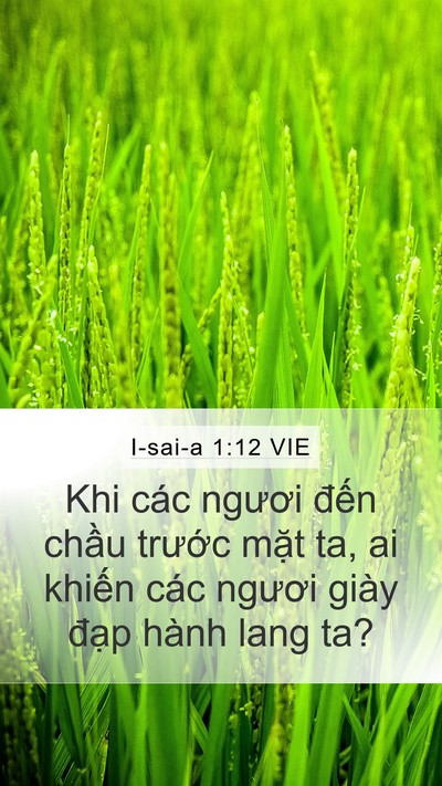 I-sai-a 1:12 VIE Bible Verse Image
