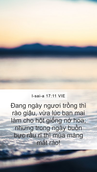 I-sai-a 17:11 VIE Bible Verse Image
