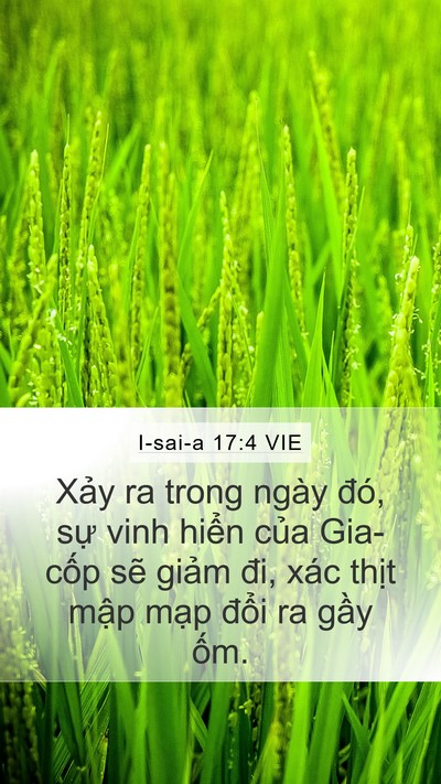 I-sai-a 17:4 VIE Bible Verse Image