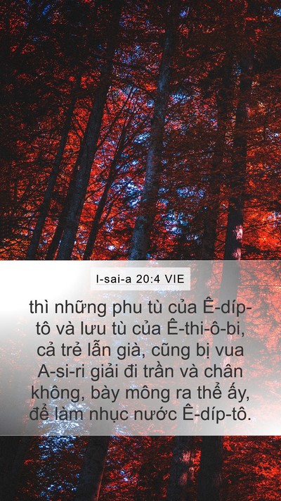 I-sai-a 20:4 VIE Bible Verse Image