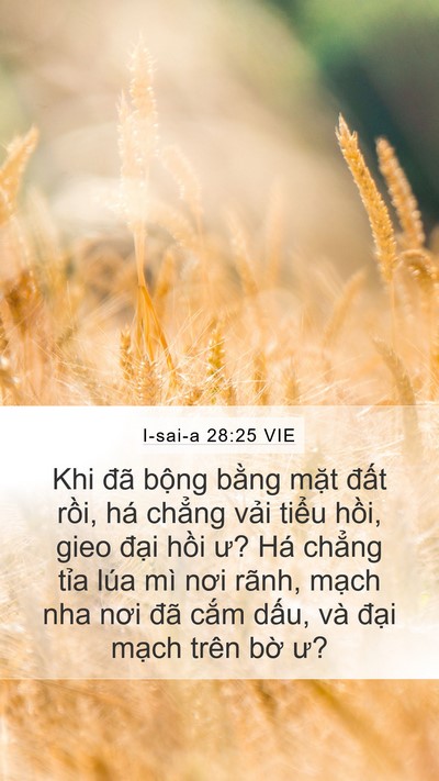 I-sai-a 28:25 VIE Mobile Phone Wallpaper - Khi đã bộng bằng mặt đất rồi, há - Mobile Bible Verse Wallpaper