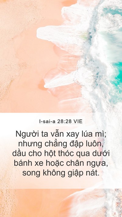 I-sai-a 28:28 VIE Mobile Phone Wallpaper - Người ta vẫn xay lúa mì; nhưng chẳng - Mobile Bible Verse Wallpaper
