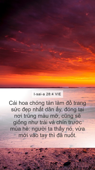 I-sai-a 28:4 VIE Bible Verse Image