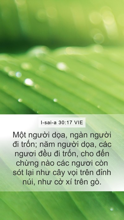I-sai-a 30:17 VIE Bible Verse Image