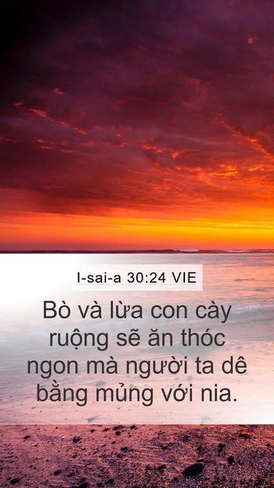 I-sai-a 30:24 VIE Bible Verse Image