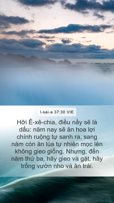 I-sai-a 37:30 VIE Bible Verse Image