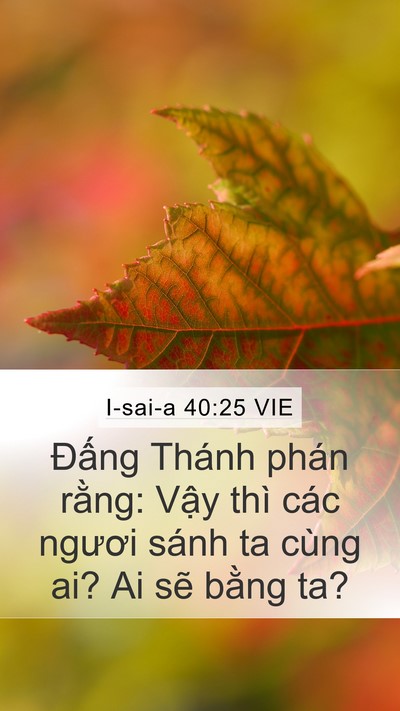 I-sai-a 40:25 VIE Bible Verse Image