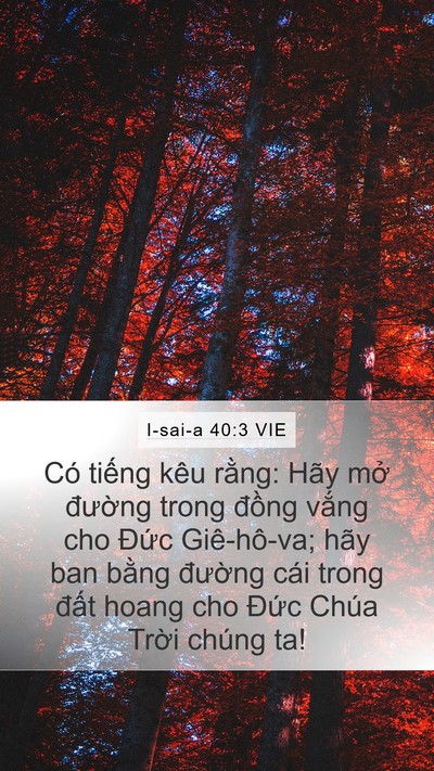 I-sai-a 40:3 VIE Bible Verse Image