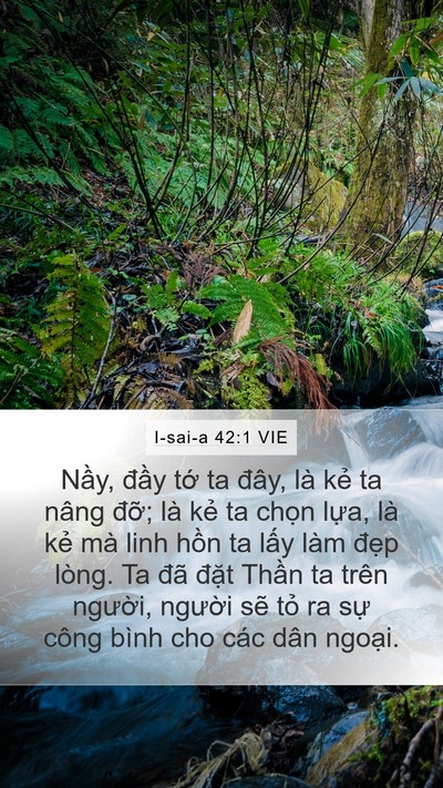 I-sai-a 42:1 VIE Bible Verse Image