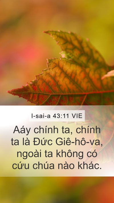 I-sai-a 43:11 VIE Mobile Phone Wallpaper - Aáy chính ta, chính ta là Đức Giê-hô-va, - Mobile Bible Verse Wallpaper