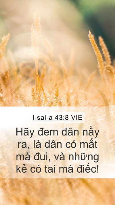 I-sai-a 43:8 VIE Bible Verse Image