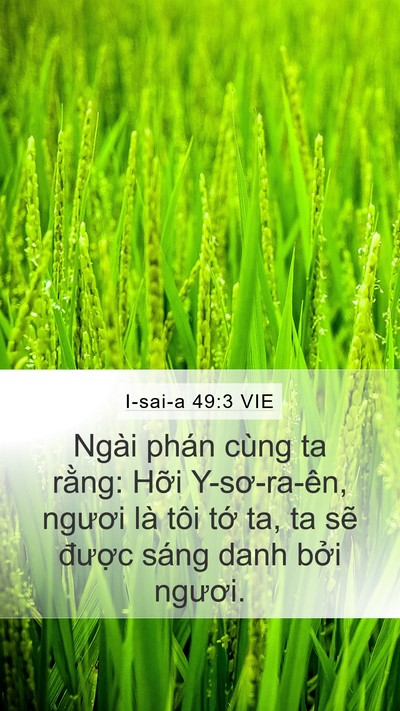 I-sai-a 49:3 VIE Bible Verse Image