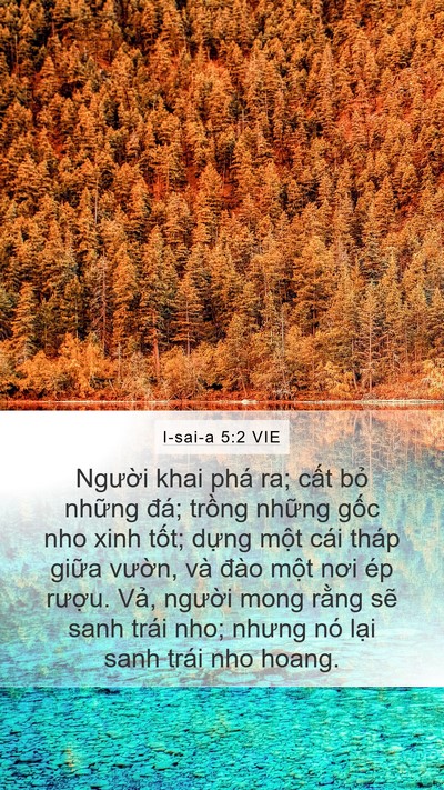 I-sai-a 5:2 VIE Bible Verse Image