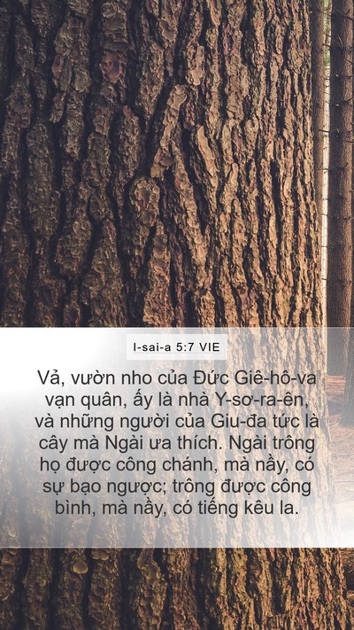 I-sai-a 5:7 VIE Bible Verse Image
