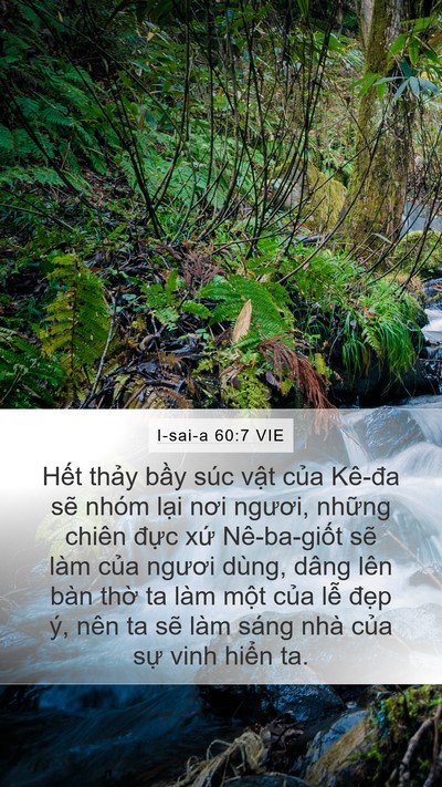 I-sai-a 60:7 VIE Bible Verse Image