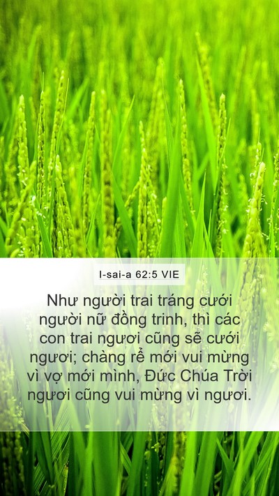 I-sai-a 62:5 VIE Bible Verse Image