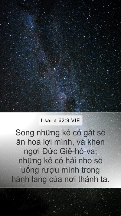 I-sai-a 62:9 VIE Mobile Phone Wallpaper - Song những kẻ có gặt sẽ ăn hoa lợi - Mobile Bible Verse Wallpaper
