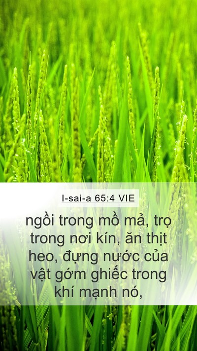 I-sai-a 65:4 VIE Bible Verse Image