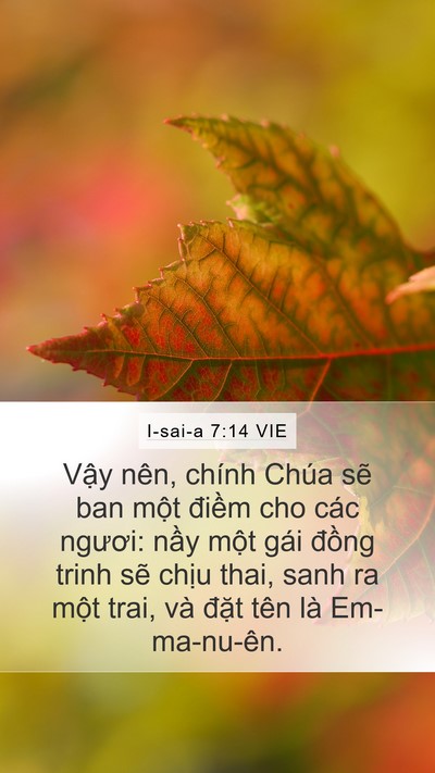 I-sai-a 7:14 VIE Bible Verse Image